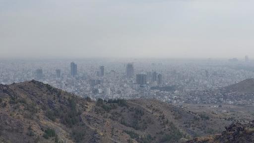 عکس باغ زندگی