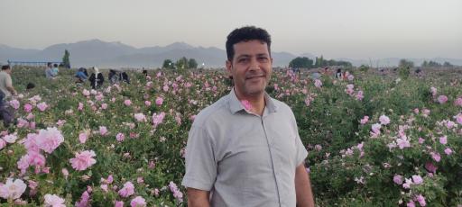عکس گنج تپه
