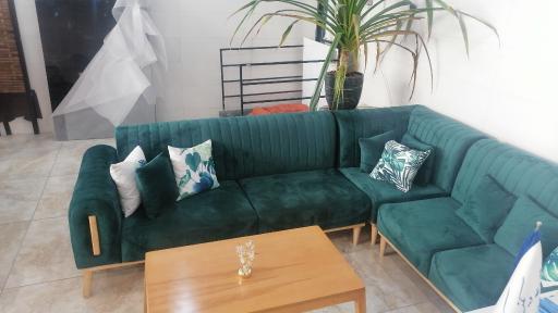 عکس مبلمان ویگن 