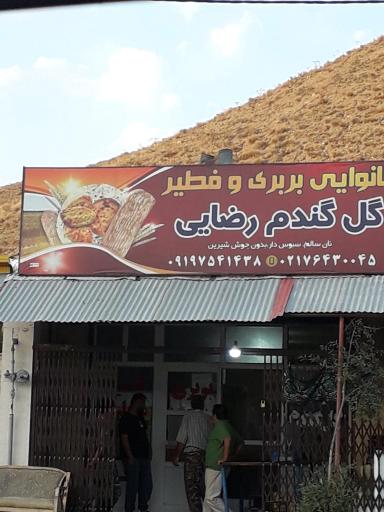 نان بربری و فطیر گل گندم رضایی
