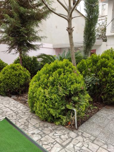 عکس دبستان هوشمند شاخص - شعبه دوم