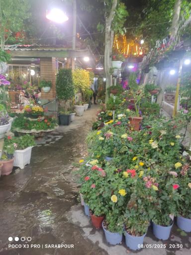 عکس باغ رستوران مزرعه