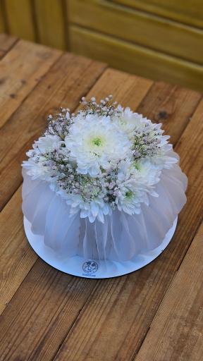 عکس کیک و شیرینی تبریزیان