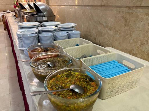 عکس هتل مجلل درویشی