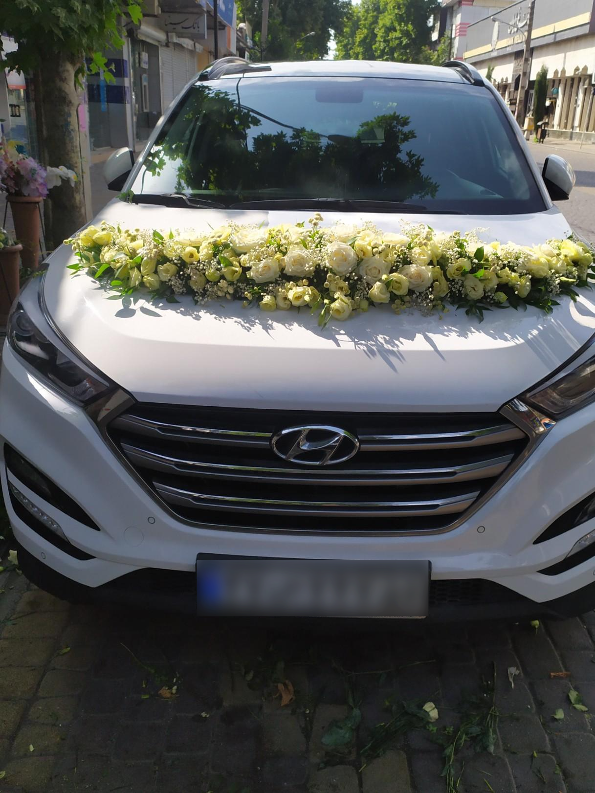 عکس گل فروشی پردیس (حیدرپور)