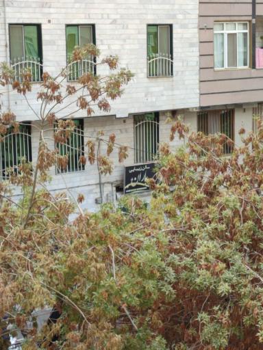 عکس سالن زیبایی باران