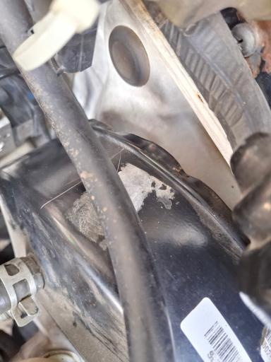 عکس بوسترسازی سعید