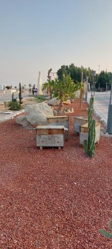 عکس اسکله مکین دریا