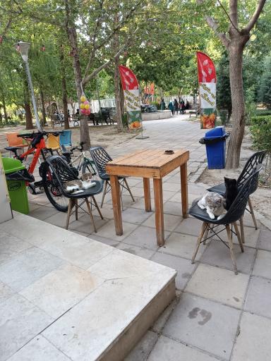 عکس کافی شاپ ۲۰۶