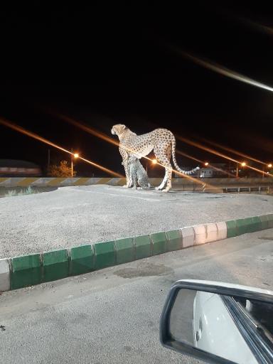 عکس مَیامِی