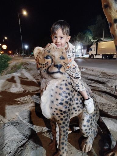 عکس مَیامِی