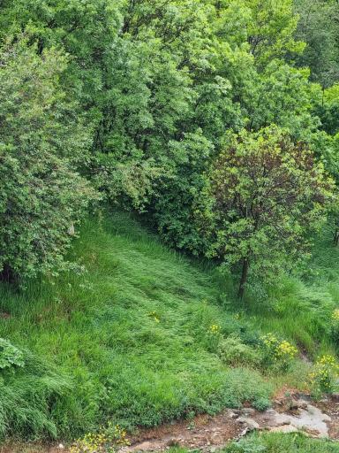 عکس پارک پله‌ 