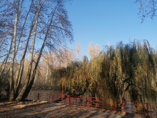 عکس مجتمع فرهنگی و تفریحی فرهنگیان