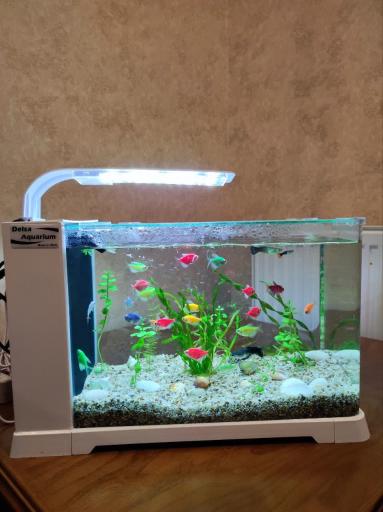 آکواریوم دریا