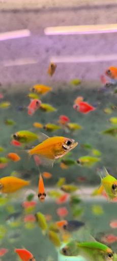 عکس آکواریوم دریا