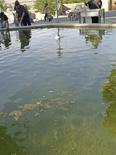 عکس چشمه مرغاب