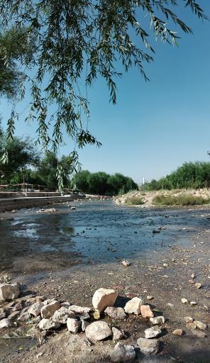 عکس چشمه مرغاب