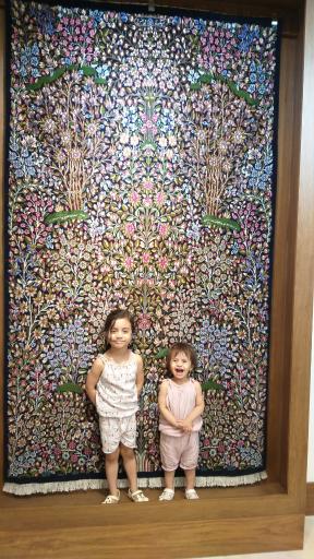 فروشگاه فرش دستبافت (شرکت فرش)