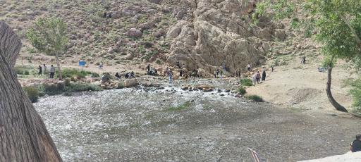 عکس چشمه مرغاب