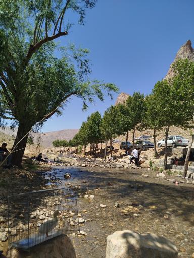 عکس چشمه مرغاب
