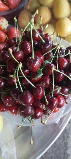 عکس میوه فروشی شیراوند