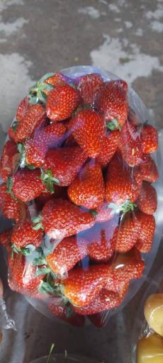 عکس میوه فروشی شیراوند