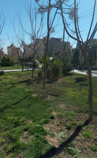 عکس بوستان عطار نیشابوری