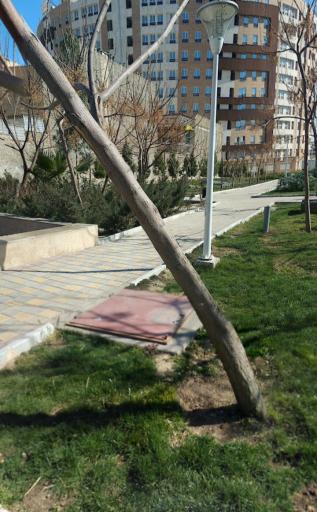 عکس بوستان عطار نیشابوری