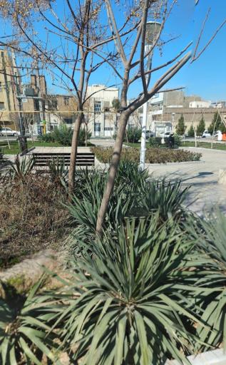 عکس بوستان عطار نیشابوری