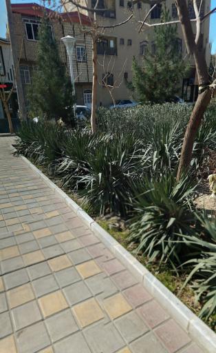 عکس بوستان عطار نیشابوری