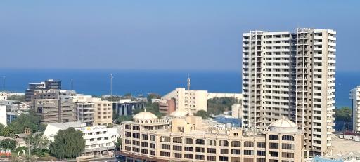 عکس مرکز خرید زیتون