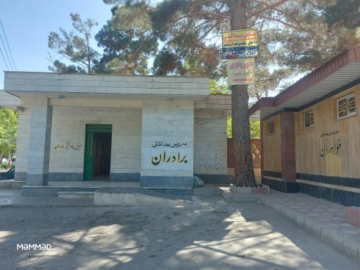 سرویس بهداشتی