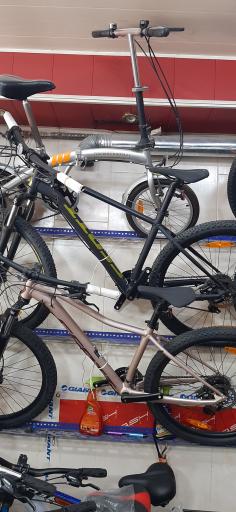 عکس دوچرخه فروشی و تعمیرگاه کراس 