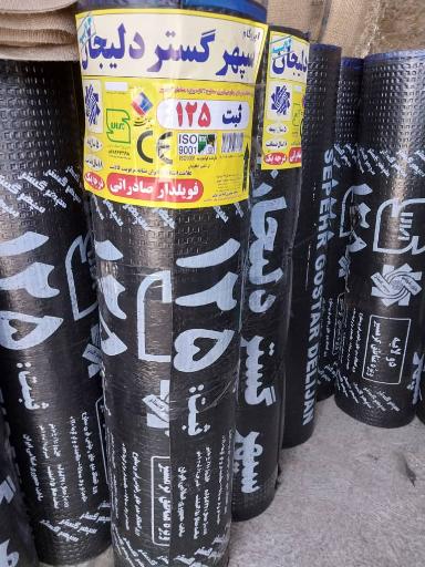 عکس آقای ایزوگام کرج 