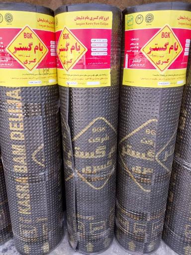 عکس آقای ایزوگام کرج 