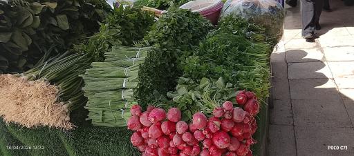 عکس سبزی خردکنی ریحانه اصل