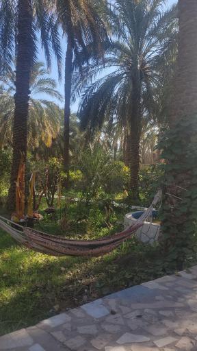 عکس اقامتگاه سنتی بومگردی ترنج