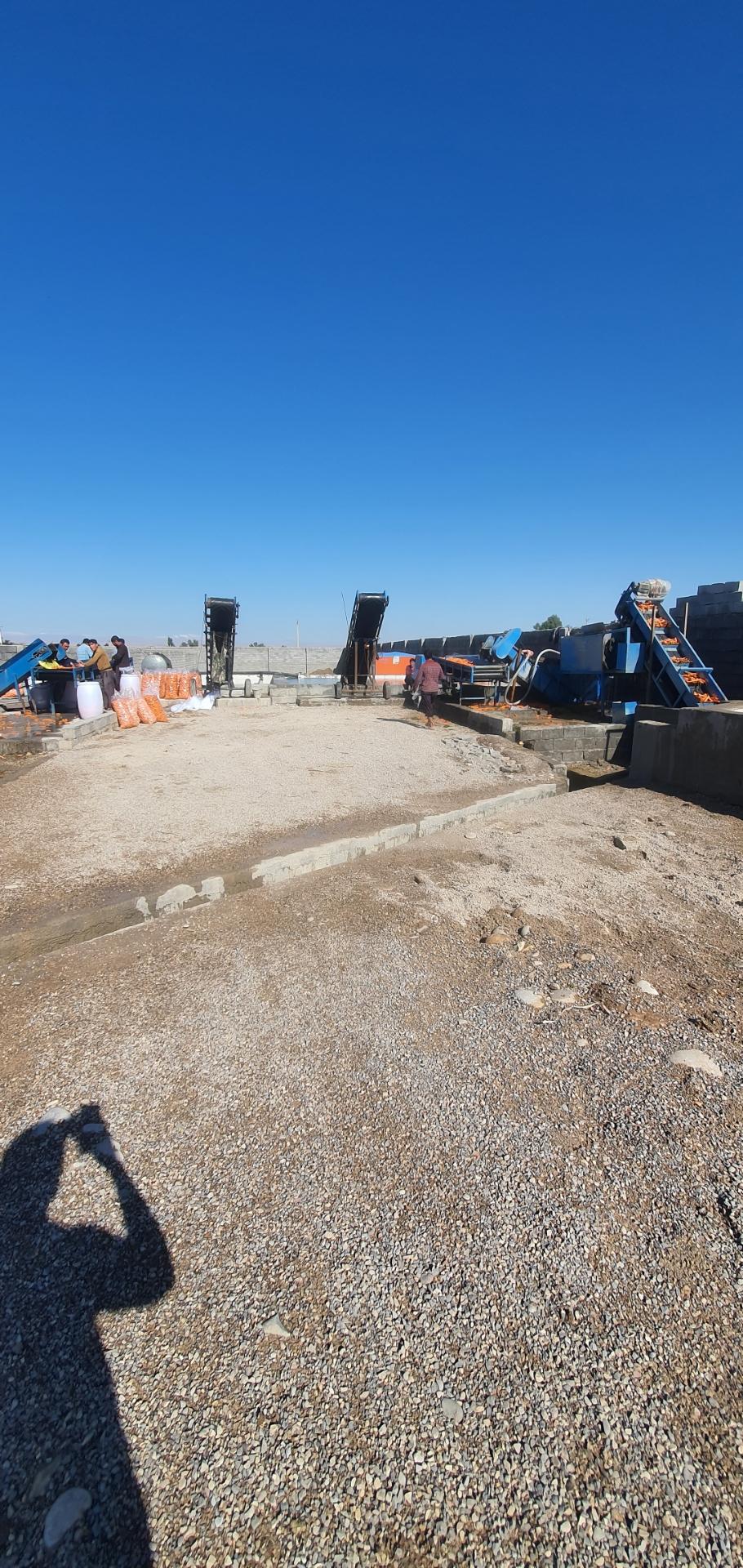 عکس کارگاه‌ هویچ شویی زیبایی