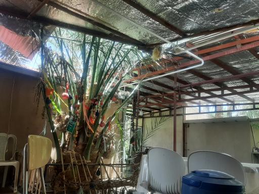 عکس اقامتگاه سنتی بومگردی ترنج