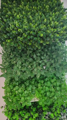 عکس شرکت گامان تزیین جاوید