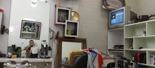عکس پیرایش ساچلار