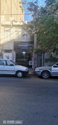 عکس پیرایش امیر تک