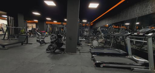 عکس باشگاه بدنسازی بانوان آپ UP