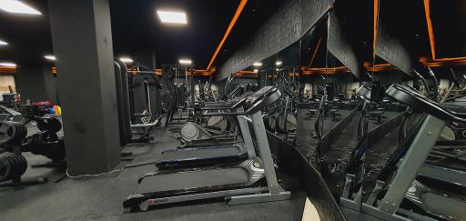 عکس باشگاه بدنسازی بانوان آپ UP