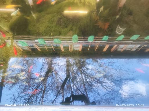 عکس کافه رستوران لاویج زکوی