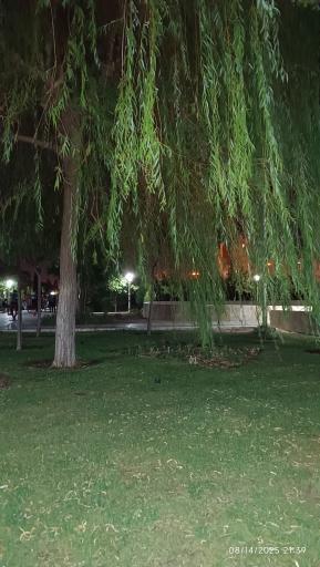 عکس بوستان طراوت