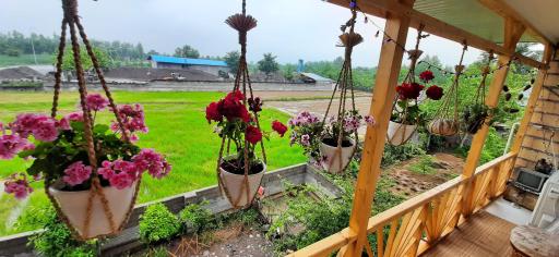 عکس سوییت‌کشتکار