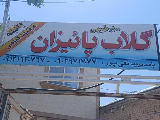 عکس سوپر مارکت پاییزان نیاسر