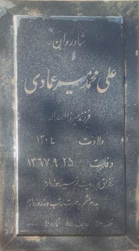 عکس قطعه 110