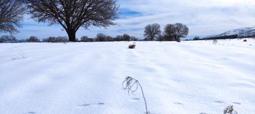 عکس دریاچه هفت برم